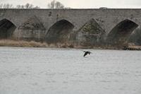 Cjp_2012_03_10_161502.jpg