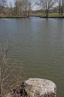 Cjp_2012_03_27_105422.jpg