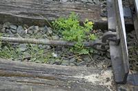 Cjp_2012_04_15_144550.jpg