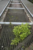 Cjp_2012_04_15_144608.jpg