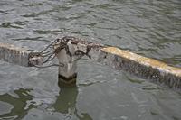 Cjp_2012_04_15_145004.jpg
