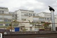 Cjp_2012_04_15_152154.jpg