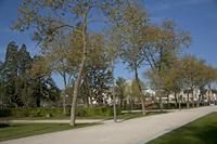 Cjp_2012_04_16_070040.jpg