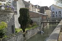 Cjp_2012_04_16_082010.jpg