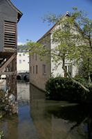 Cjp_2012_04_16_093218.jpg