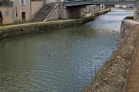 Cjp_2012_04_16_113922.jpg