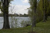 Cjp_2012_04_16_144638.jpg