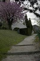Cjp_2012_04_16_154120.jpg