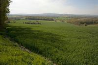 Cjp_2012_04_17_091024.jpg
