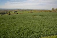 Cjp_2012_04_17_091028.jpg