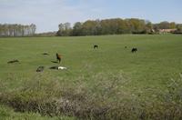 Cjp_2012_04_17_092020.jpg