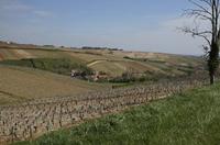 Cjp_2012_04_17_093328.jpg