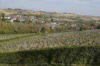 Cjp_2012_04_17_093800.jpg