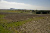 Cjp_2012_04_17_094420.jpg