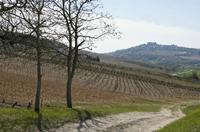 Cjp_2012_04_17_094708.jpg