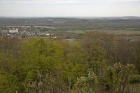Cjp_2012_04_17_112940.jpg