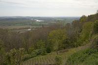 Cjp_2012_04_17_112942.jpg