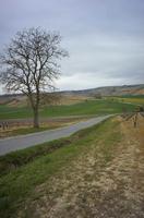 Cjp_2012_04_17_133036.jpg
