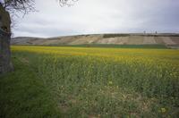 Cjp_2012_04_17_133256.jpg