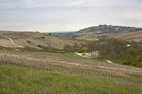 Cjp_2012_04_17_143316.jpg