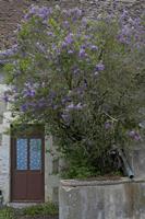 Cjp_2012_04_17_144036.jpg