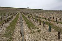 Cjp_2012_04_17_144518.jpg