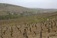 Cjp_2012_04_17_153204.jpg