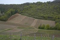 Cjp_2012_04_17_153318.jpg
