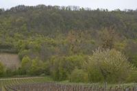 Cjp_2012_04_17_153418.jpg
