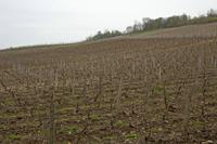 Cjp_2012_04_17_153648.jpg