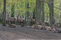 Cjp_2012_04_18_075848.jpg
