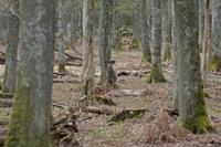 Cjp_2012_04_18_090652.jpg