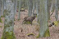 Cjp_2012_04_18_091216.jpg