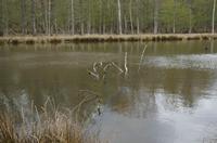 Cjp_2012_04_18_120706.jpg