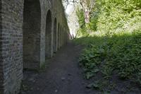 Cjp_2012_05_14_073708.jpg