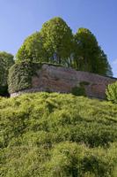 Cjp_2012_05_16_150828.jpg