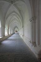 Cjp_2012_05_17_131214.jpg