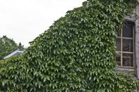 Cjp_2012_06_18_160116.jpg