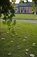 Cjp_2012_06_18_194420.jpg