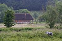 Cjp_2012_06_19_055630.jpg