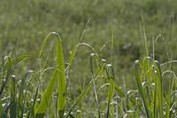 Cjp_2012_06_19_061828.jpg