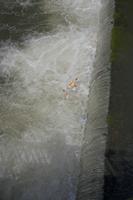 Cjp_2012_06_19_121902.jpg