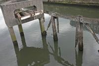Cjp_2012_06_19_140758.jpg