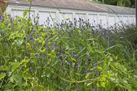 Cjp_2012_06_19_143058.jpg