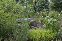 Cjp_2012_06_19_151342.jpg