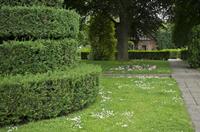 Cjp_2012_06_19_152242.jpg