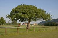 Cjp_2012_06_20_054746.jpg