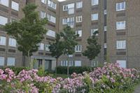 Cjp_2012_06_20_060800.jpg
