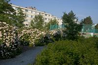 Cjp_2012_06_20_060838.jpg