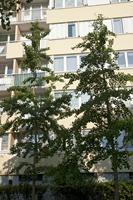 Cjp_2012_06_20_061616.jpg